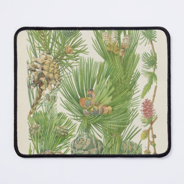 Item preview, Pine Botanical designed and sold by BlueSpecsStudio.