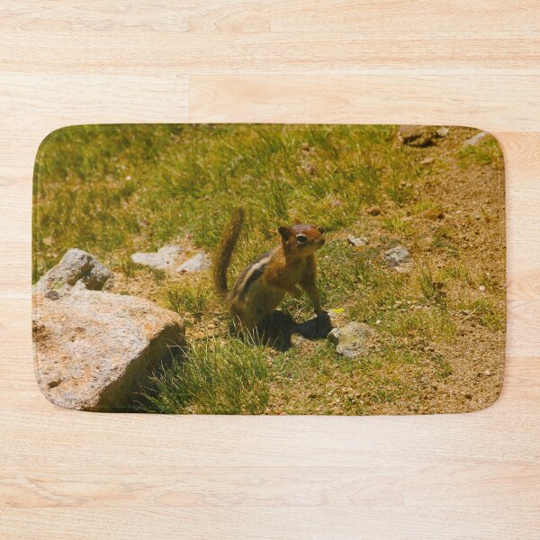 Artikelvorschau, Neugieriges Streifenhörnchen entworfen und verkauft von KoalaTeaPhotogr.