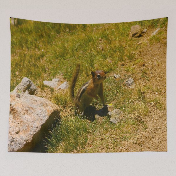 Artikelvorschau, Neugieriges Streifenhörnchen entworfen und verkauft von KoalaTeaPhotogr.