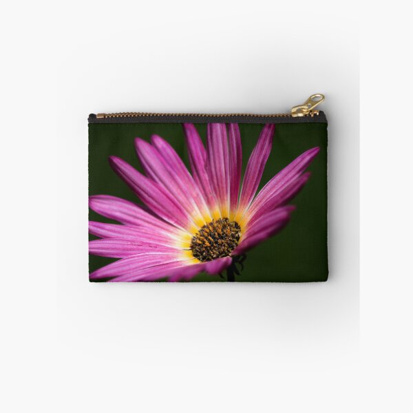 Item preview, Osteospermum  designed and sold by eddiej.