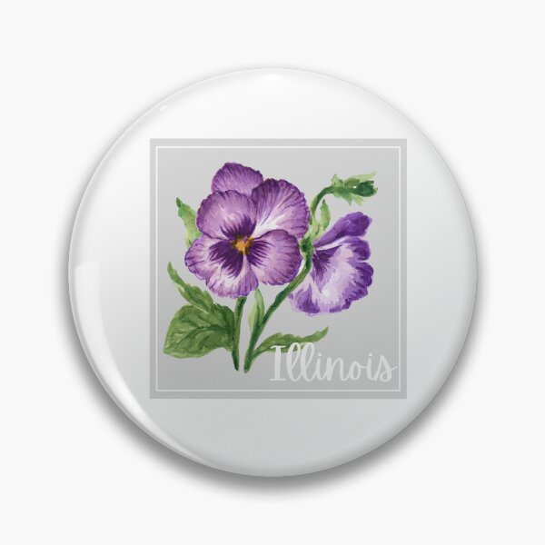 Artikelvorschau, Illinois State Flower Violet Klassisches T-Shirt Aufkleber entworfen und verkauft von ThinkNature!.