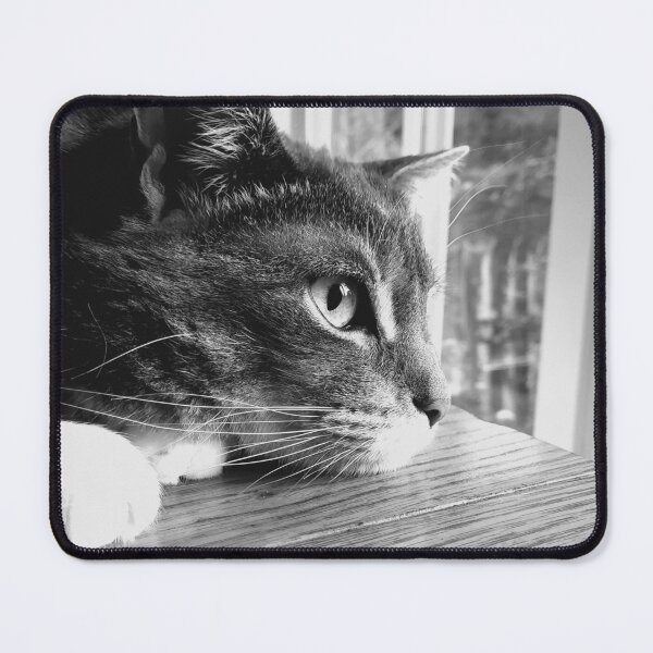 Item preview, Pondering Cat Black and White 1 designed and sold by Quincy-Hedgehog.
