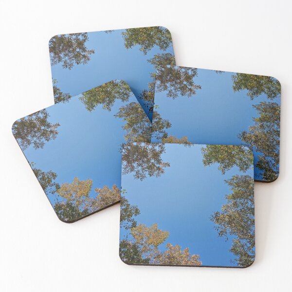 Item preview, Looking Up in the Late Summer designed and sold by Quincy-Hedgehog.