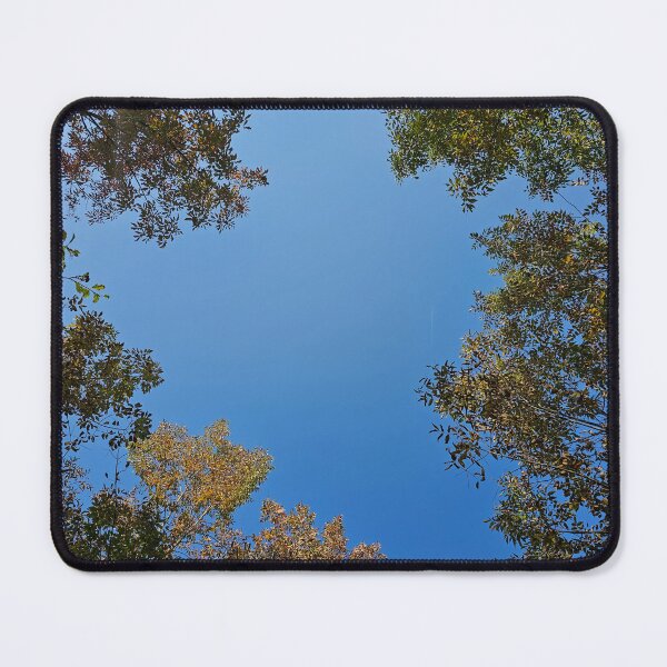 Item preview, Looking Up in the Late Summer designed and sold by Quincy-Hedgehog.