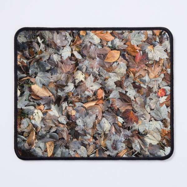 Aperçu de l'œuvre Saison des feuilles créée et vendue par mr---salt.