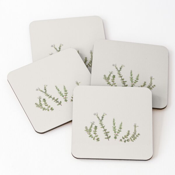 Item preview, Crassula 'String of buttons' designed and sold by crumpsticks.