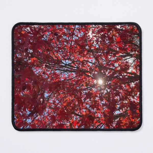 Item preview, Japanese Maple November  designed and sold by Amanda1775.