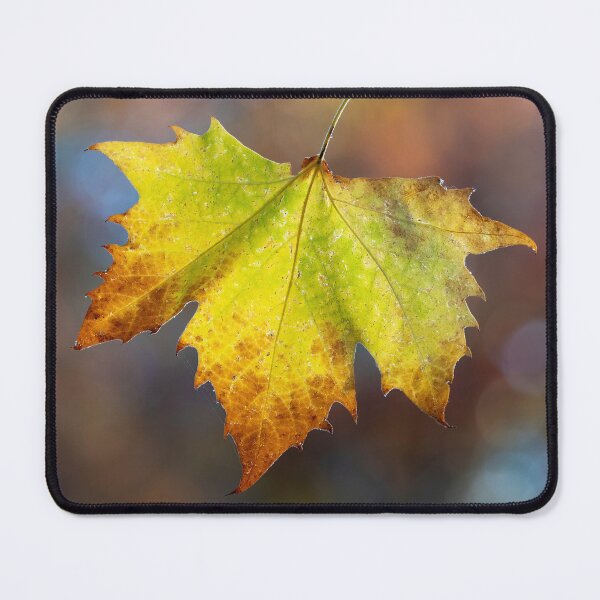 Item preview, Autumn Colorful Maple Leaf Hanging designed and sold by yhelfman.