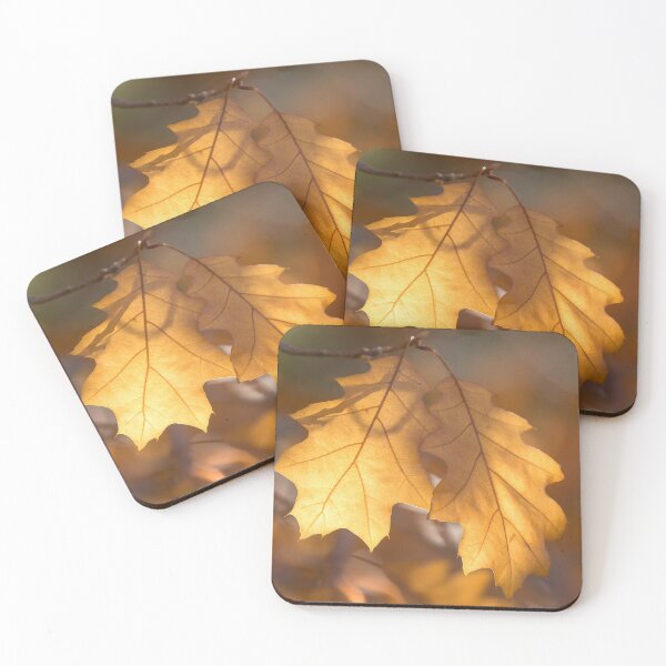 Item preview, Autumn Oak Leaves Back Lit designed and sold by yhelfman.