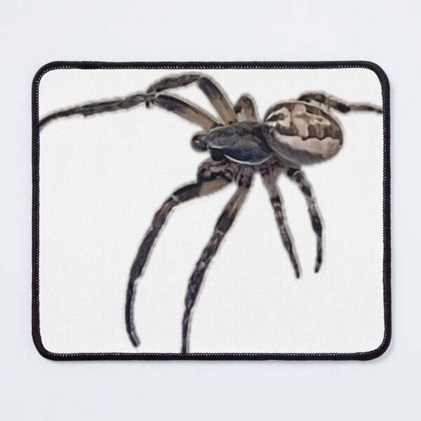 Item preview, Spider designed and sold by aadventures.