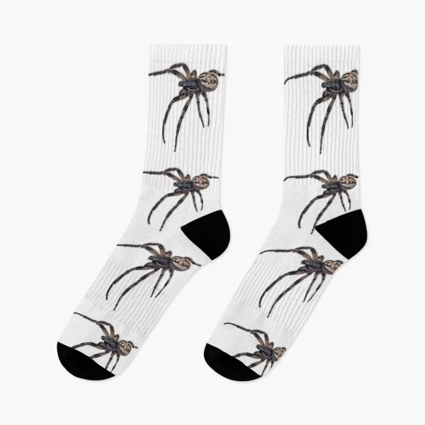 Item preview, Spider  designed and sold by aadventures.