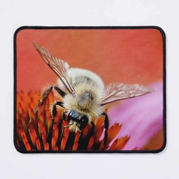 Item preview, Just Bumbling Through designed and sold by Lois  Bryan.