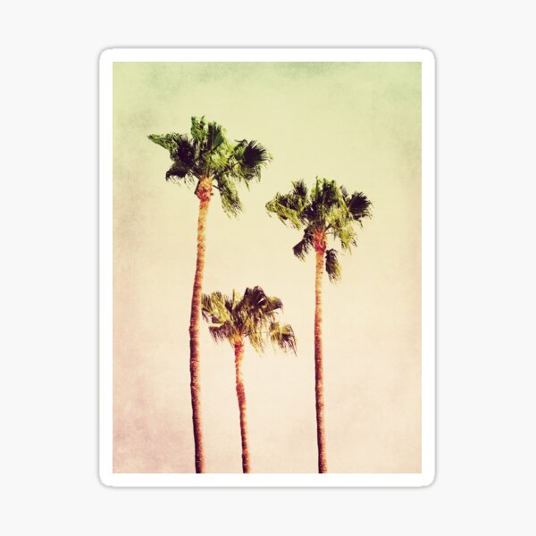 PASTEL PALM TREES no2 Sticker