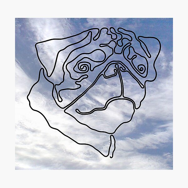 Pug Dog Photographic Print