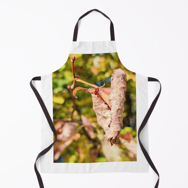 Item preview, Crooked lbrown leaf at autumn designed and sold by AB Photostudio.