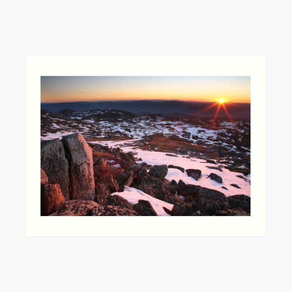 Art Print