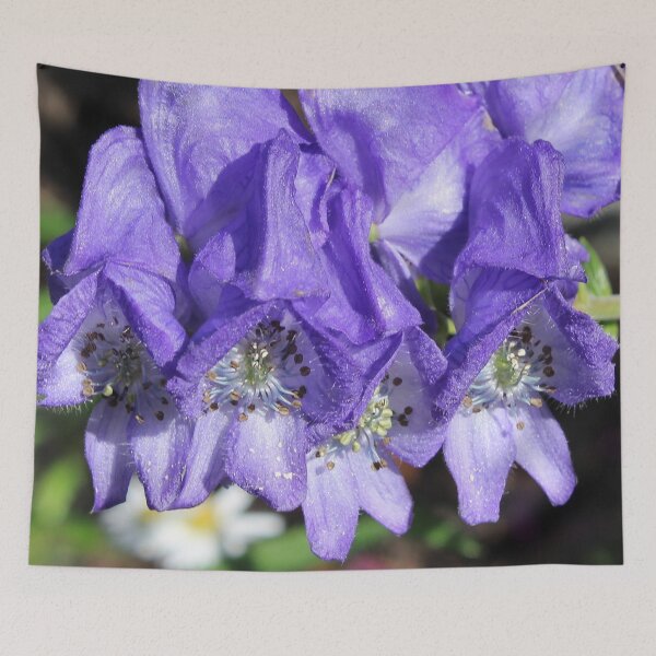 Item preview, Purple Monkshood Flowers designed and sold by Paul Morse.