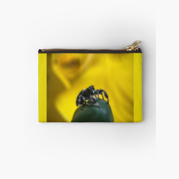 Item preview, The Little Jumping Spider designed and sold by Kolmas-Paiva.
