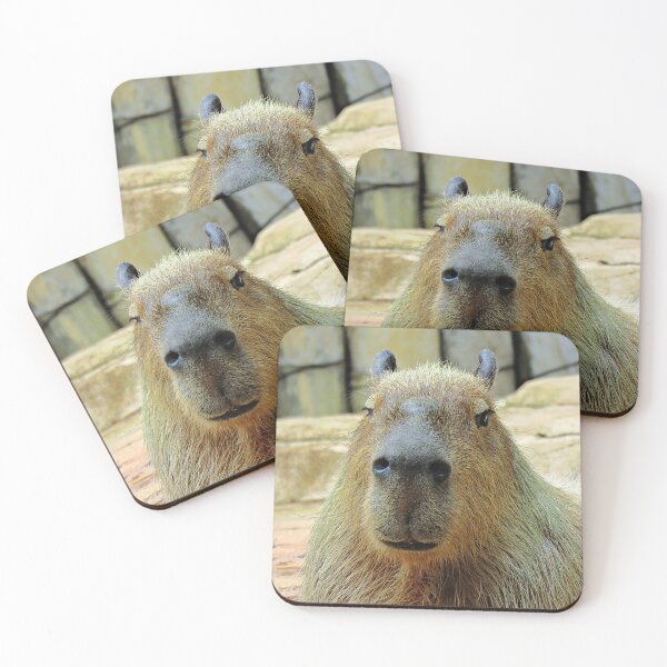 Item preview, Capybara Looking at You Close-up designed and sold by Linda Walsh.