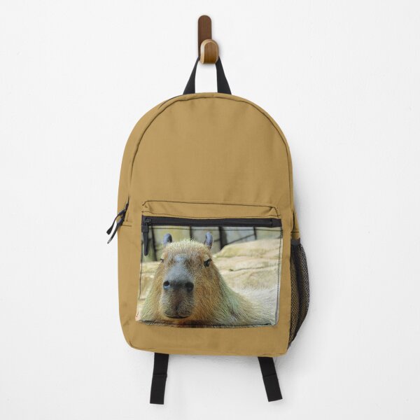 Item preview, Capybara Looking at You Close-up designed and sold by Linda Walsh.