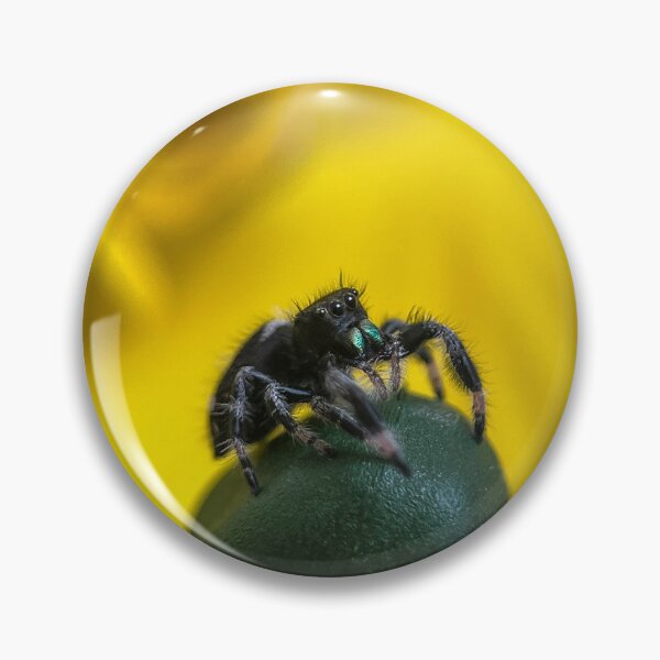 Item preview, The Little Jumping Spider designed and sold by Kolmas-Paiva.