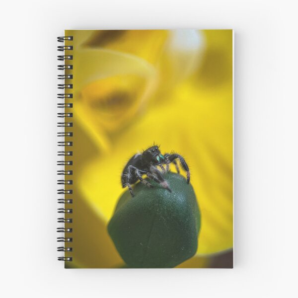 Item preview, The Little Jumping Spider designed and sold by Kolmas-Paiva.