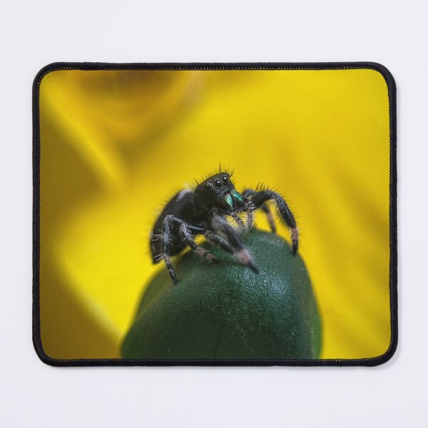 Item preview, The Little Jumping Spider designed and sold by Kolmas-Paiva.