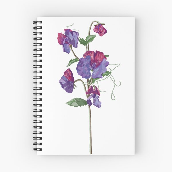 Item preview, Sweet pea flower designed and sold by Aingskty.