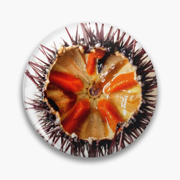 Item preview, Purple sea urchin designed and sold by troianifabrizio.