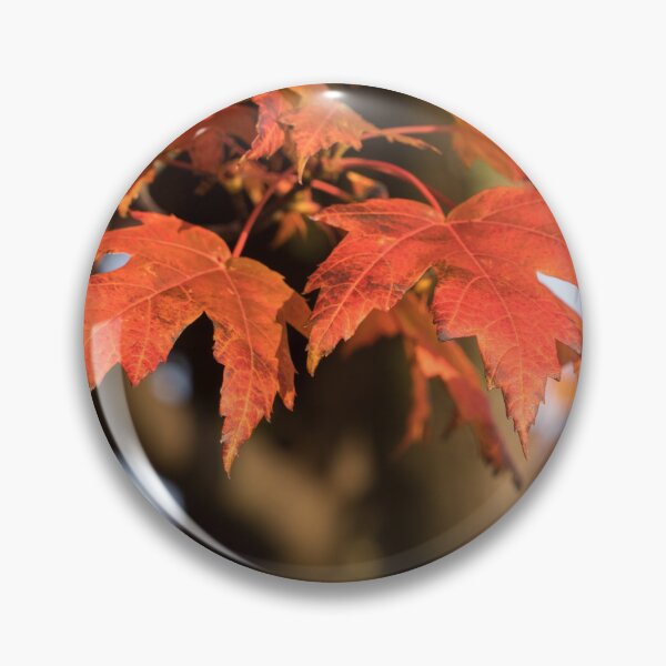 Item preview, Warm Sunshine and Autumnal Maple Leaves designed and sold by Georgia Mizuleva.