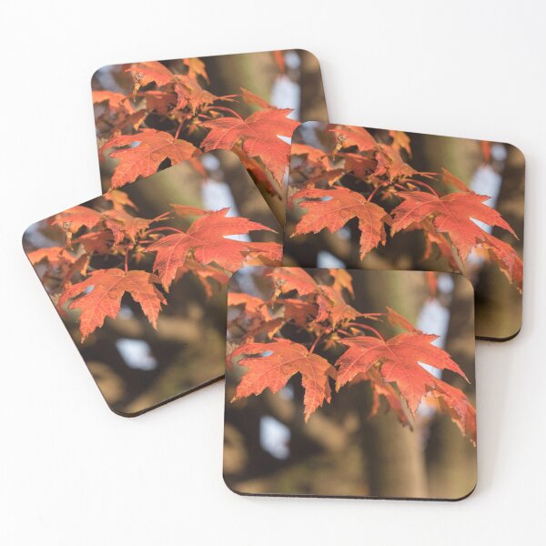 Item preview, Warm Sunshine and Autumnal Maple Leaves designed and sold by Georgia Mizuleva.