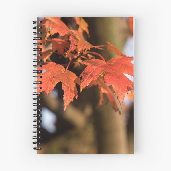 Item preview, Warm Sunshine and Autumnal Maple Leaves designed and sold by Georgia Mizuleva.