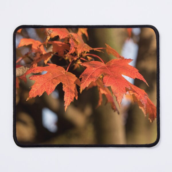Item preview, Warm Sunshine and Autumnal Maple Leaves designed and sold by Georgia Mizuleva.
