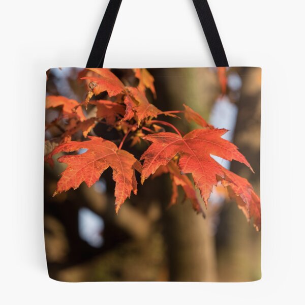 Item preview, Warm Sunshine and Autumnal Maple Leaves designed and sold by Georgia Mizuleva.