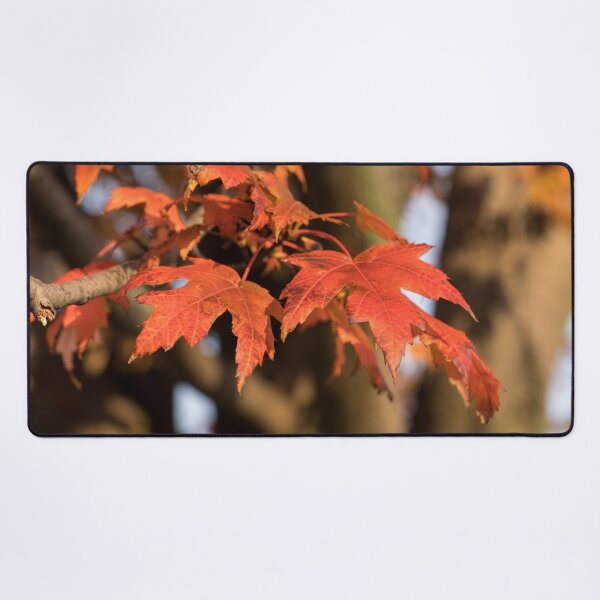 Item preview, Warm Sunshine and Autumnal Maple Leaves designed and sold by Georgia Mizuleva.