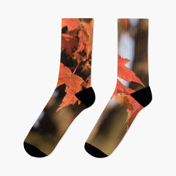 Item preview, Warm Sunshine and Autumnal Maple Leaves designed and sold by Georgia Mizuleva.