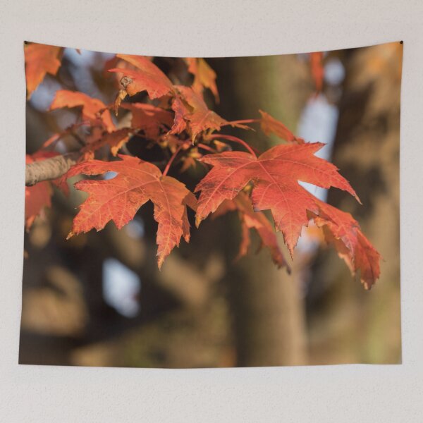 Item preview, Warm Sunshine and Autumnal Maple Leaves designed and sold by Georgia Mizuleva.