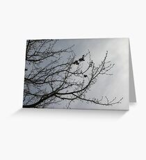 Burradoo Branches Greeting Card