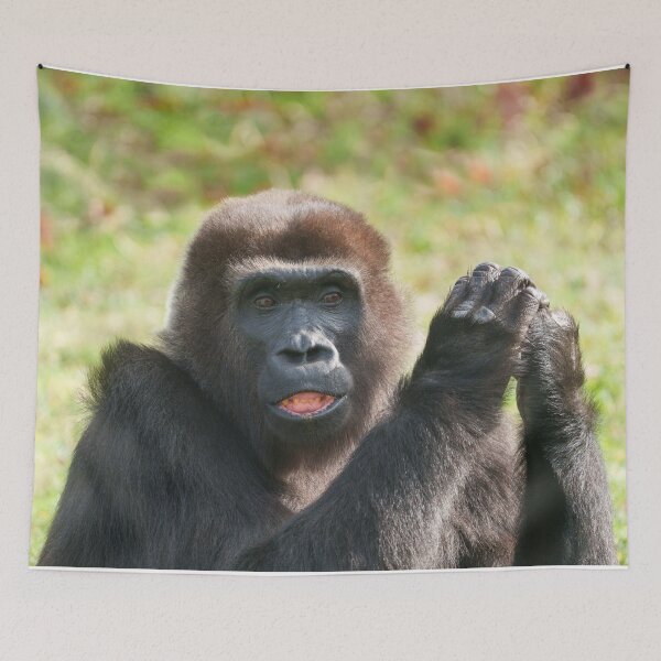 Artikelvorschau, Hakuna Matata der Gorilla entworfen und verkauft von rawshutterbug.
