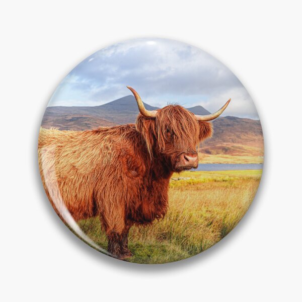Artikelvorschau, Herbst, Isle of Mull entworfen und verkauft von Dave Guy.