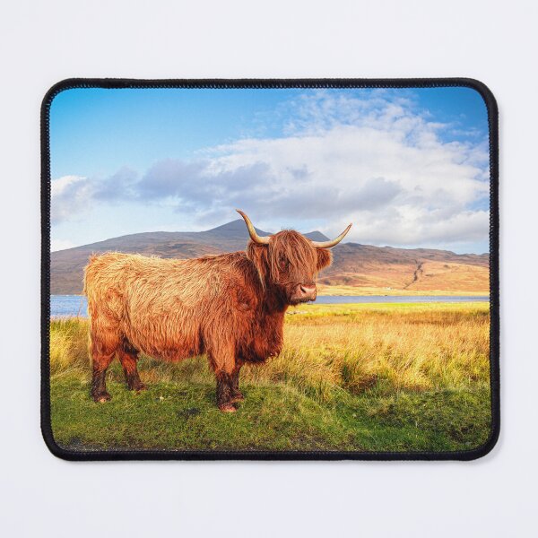 Item preview, Autumn, Isle of Mull designed and sold by Dave Guy.