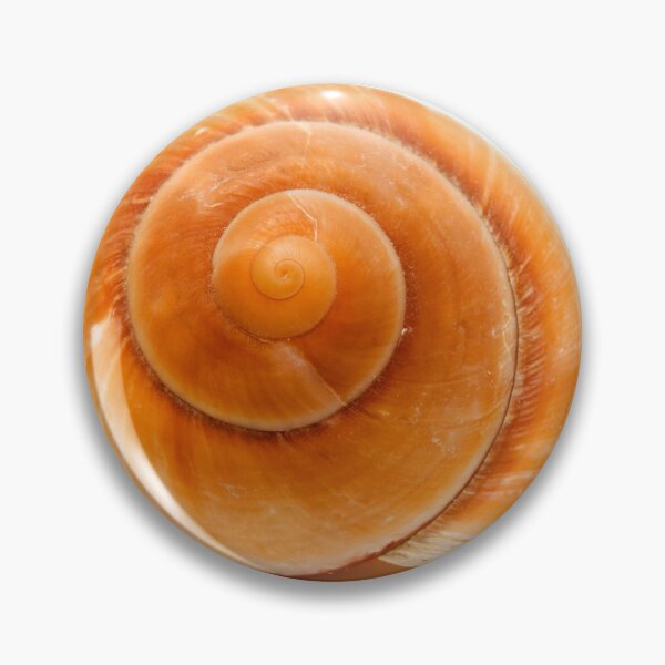 Item preview, Seashell designed and sold by troianifabrizio.
