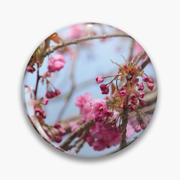 Item preview, Flowering Cherry Donegal Ireland designed and sold by eddiebarronshop.