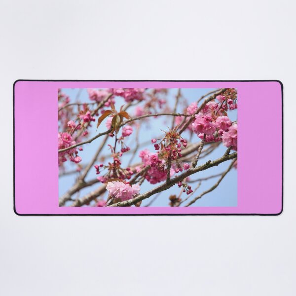 Item preview, Flowering Cherry Donegal Ireland designed and sold by eddiebarronshop.