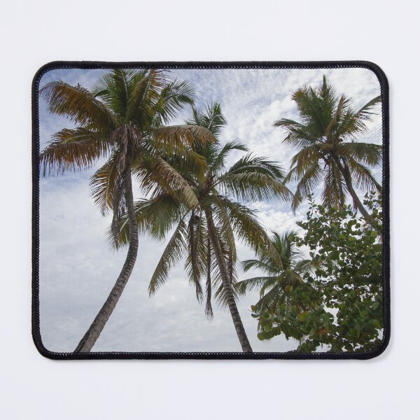 Item preview, A serene beach scene features a cluster of tall palm trees leaning designed and sold by EyezWatchin.