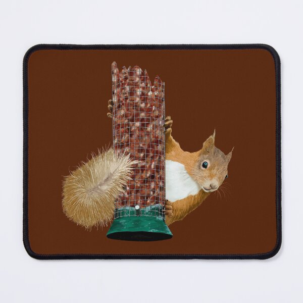 Item preview, WHAT? - CUTE RED SQUIRREL ON BIRD FEEDER designed and sold by Danicus666.
