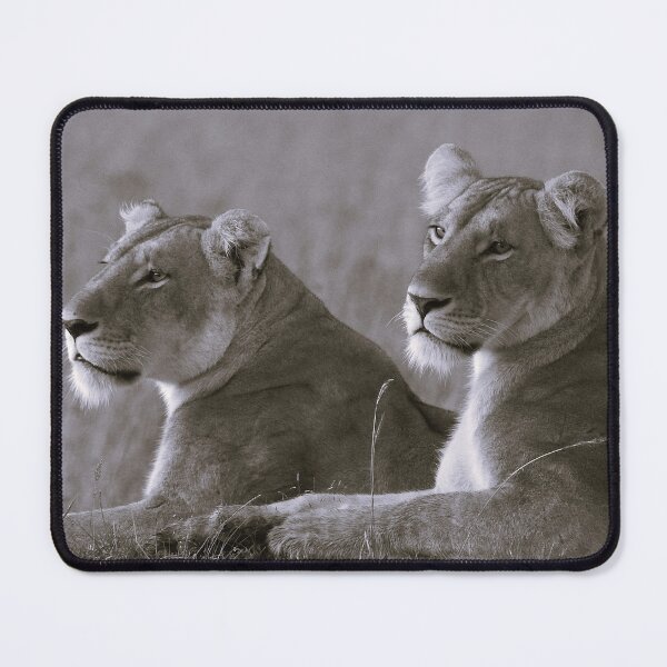Item preview, The Queens designed and sold by Faunagraphy360.