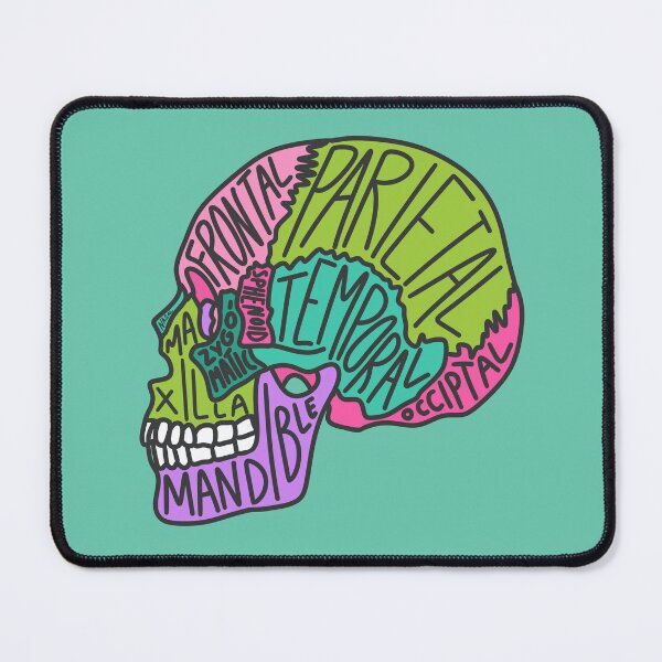 Item preview, Skull Anatomy designed and sold by OctagonGlasses.