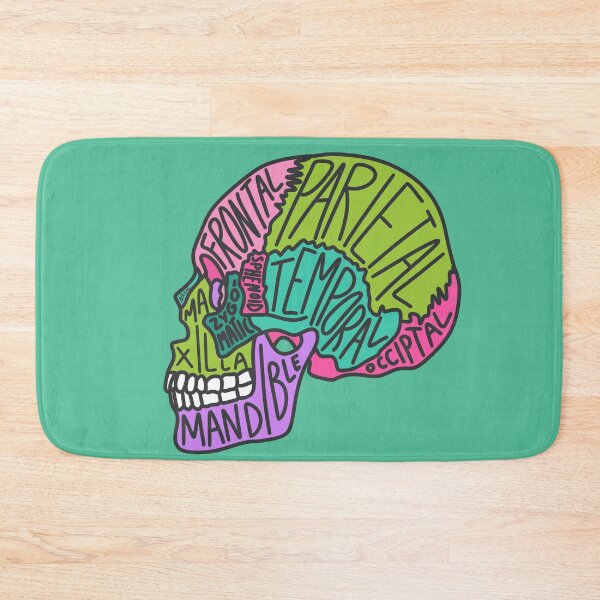 Item preview, Skull Anatomy designed and sold by OctagonGlasses.