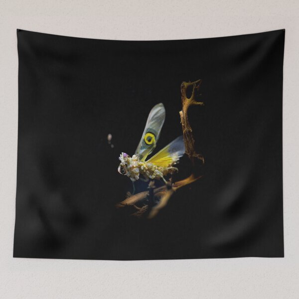 Item preview, Beware of the Mantis designed and sold by Kolmas-Paiva.